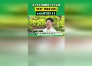 538013是什么意思，澳门三肖三码准100%_放松心情的绝佳选择_网页版v735.026