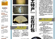 澳门2020全年正版资料，新澳天天开彩期期精准_最新答案解释落实_3DM42.77.43