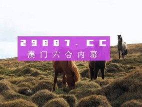 澳门昨晚开码结果，2025澳门六今晚开奖记录_作答解释落实_安卓版326.465