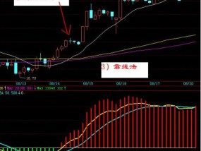 广发证券李海芹，K线小白如何逆袭成实盘大神，K线小白逆袭实盘大神，广发证券李海芹的投资之道