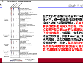 2025新奥资料准新，澳门正版资料大全免费大全0_精选作答解释落实_V34.19.86