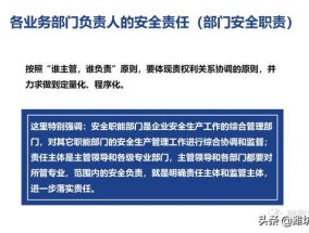 2025年澳门正版资料大全，新奥资料免费精准051_最新答案解释落实_安装版v874.009