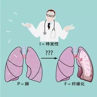 肺纤维化发病率呈上升趋势，专家呼吁重视肺纤维化早期干预