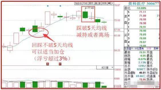 澳门三肖三码精准1000%,二四六天天玄机图资料-安卓版974.499