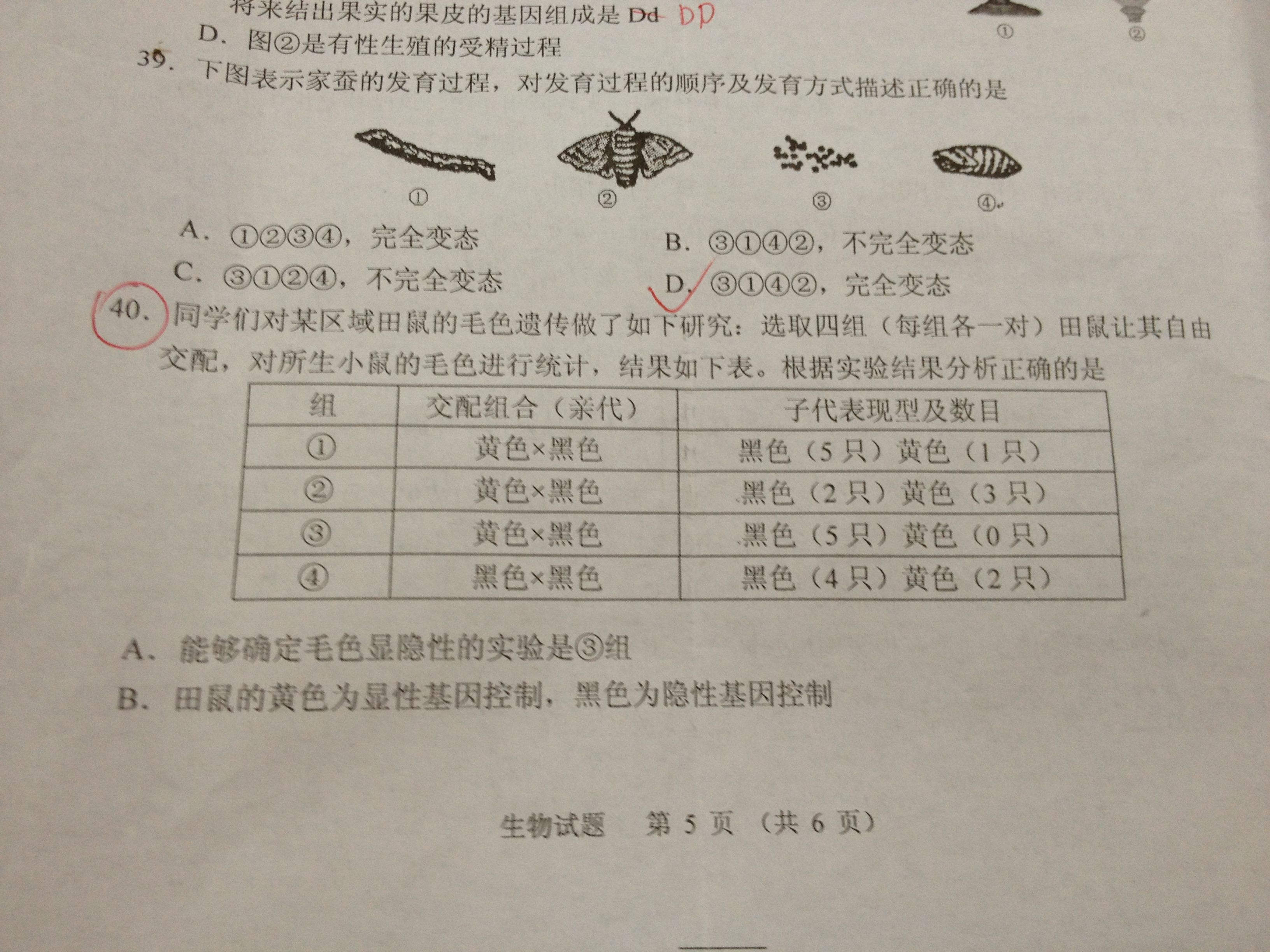 新奥新澳门六开奖结果资料查询，2025新奥资料准新_结论释义解释落实_V86.25.59